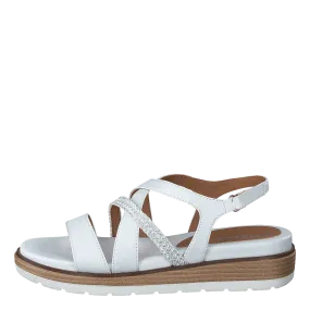 28255 White 28255 White