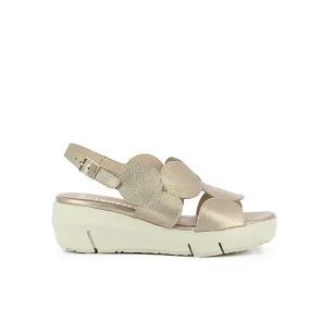 D-8210 - Gold D-8210 - Gold