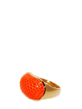 Exotic Dome Ring in Mandarin Lizard Skin Exotic Dome Ring in Mandarin Lizard Skin