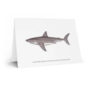 Great White Shark Greeting Card Great White Shark Greeting Card