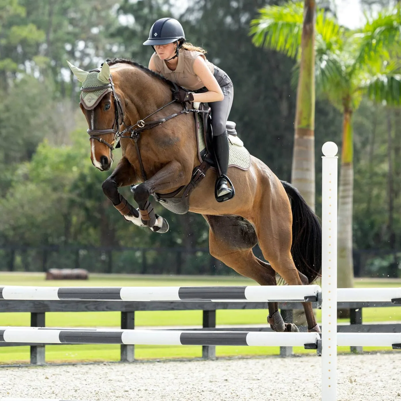LeMieux Suede-Merino GP Saddle Pad