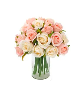 Rose white Rose white