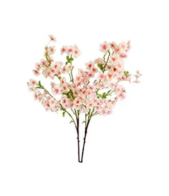Rose white