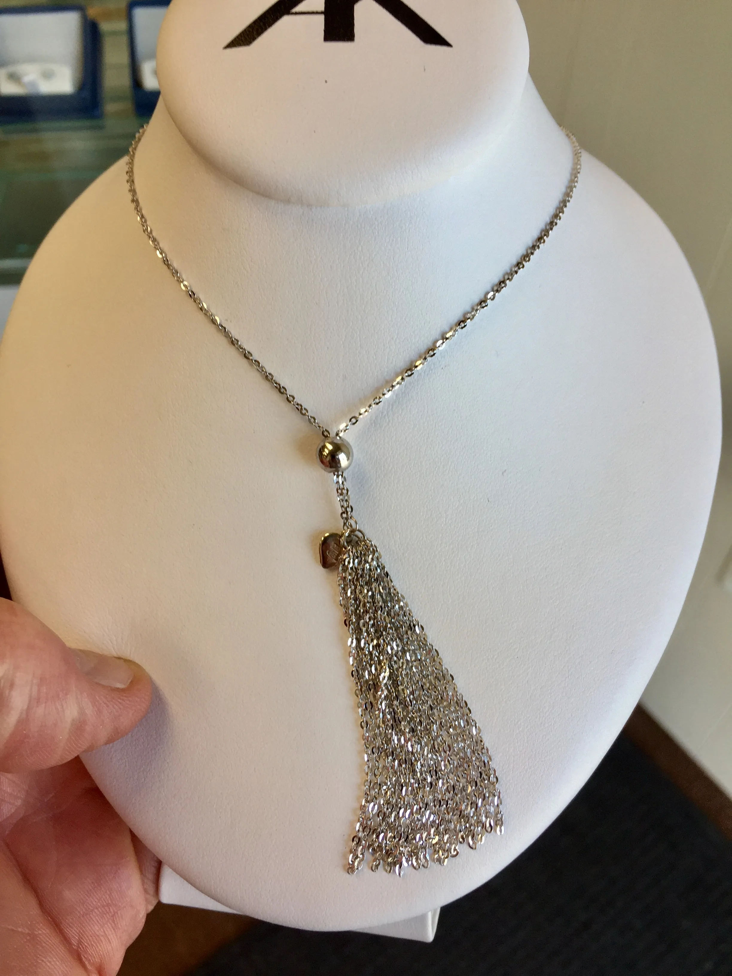 Silver Tassel Long Necklace