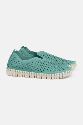Tulip Slip-In - Aqua Sky Tulip Slip-In - Aqua Sky