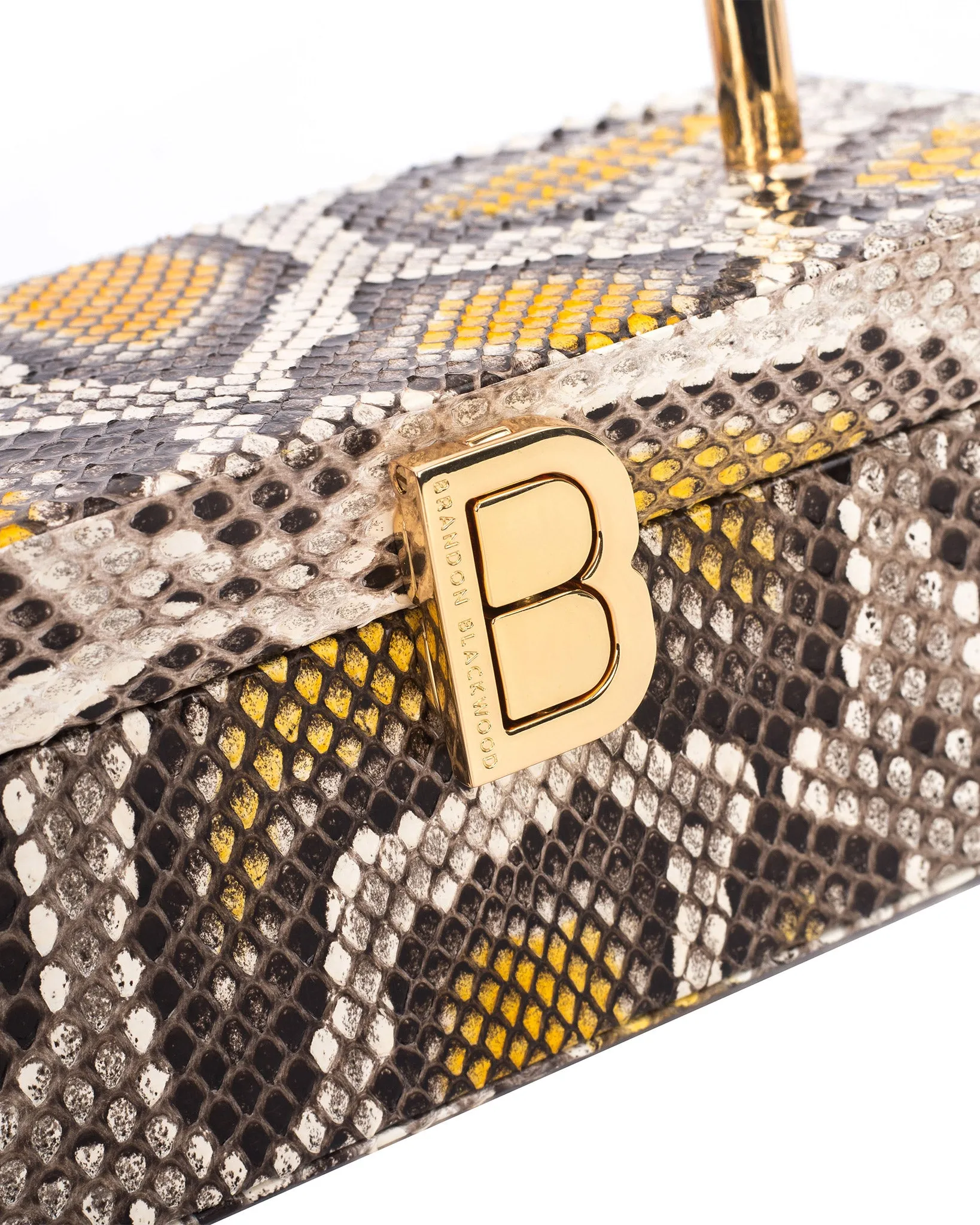 Vanity Purse | 24K Gold Plated Hardware